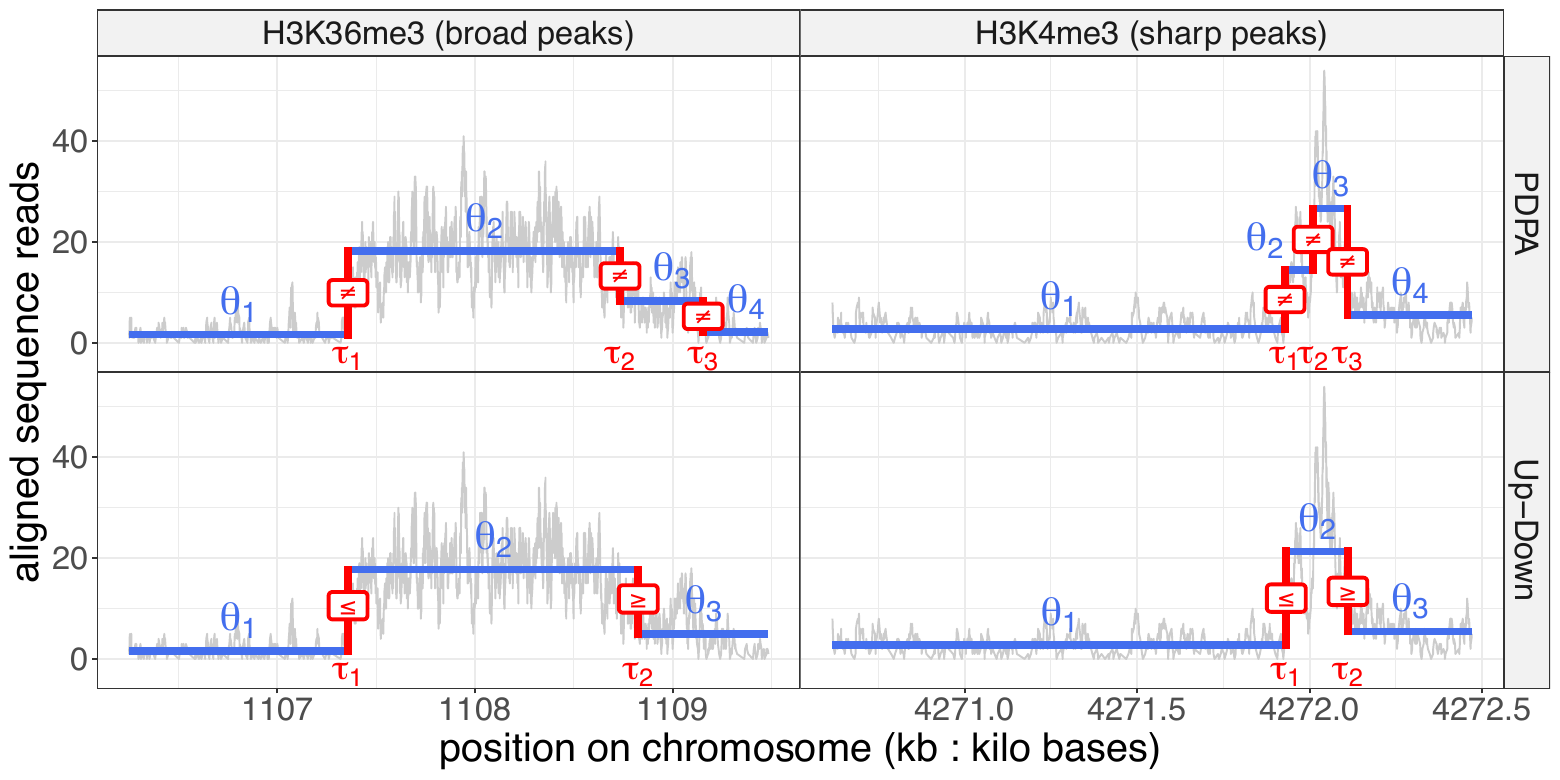 Couverture ChIP-seq, niveaux ajustés et pics détectés